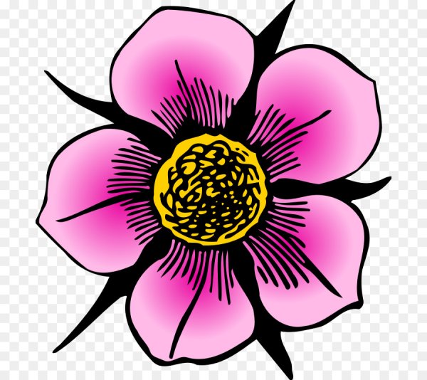 Цветы рисунок