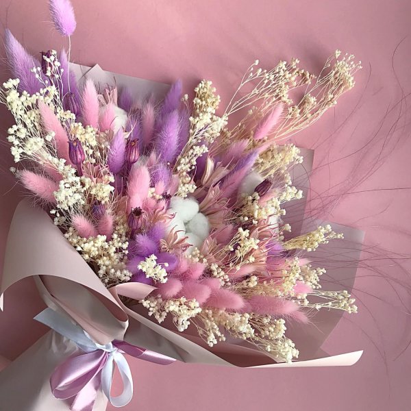 Голландская Радужная роза