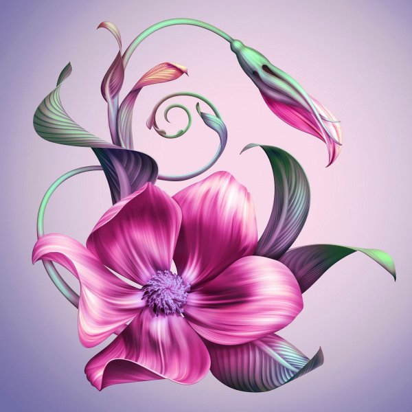 Букет рисунок карандашом