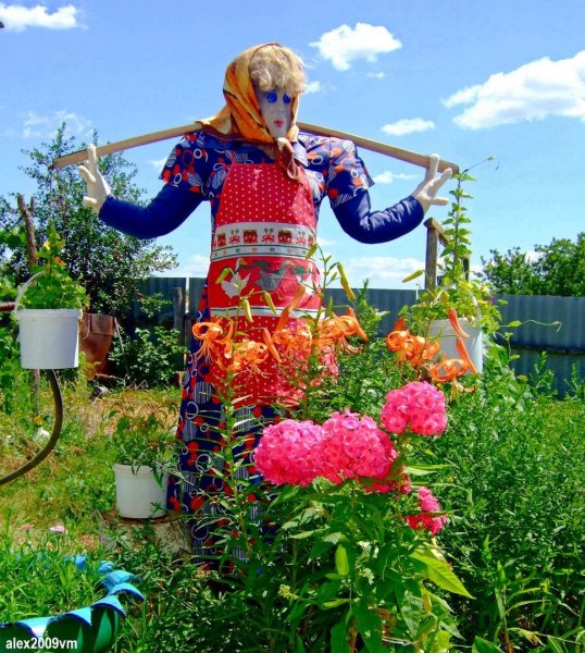 Цветы в огороде и на даче