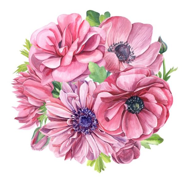 Рисунки цветов