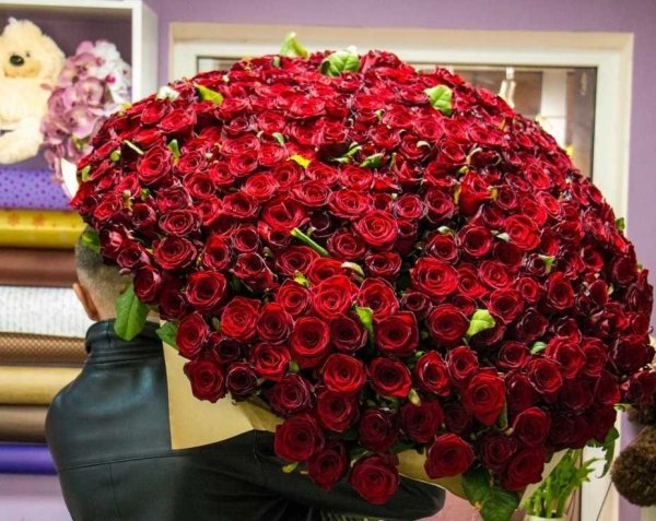 Дип перпл цветок