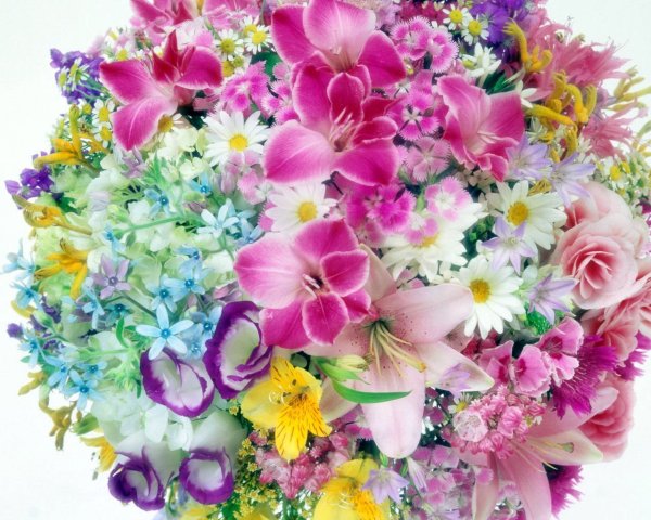 Букет цветов «день рождение»