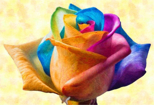 Красивый букет цветов