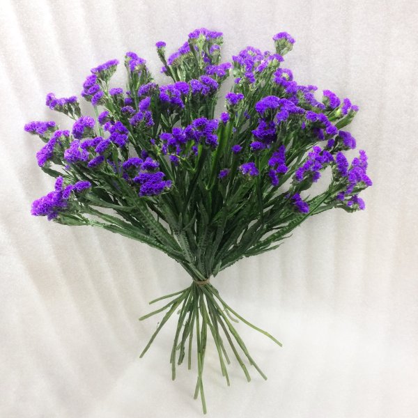 Цветы статице кермек