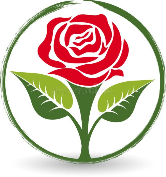 Круговой узор из цветов