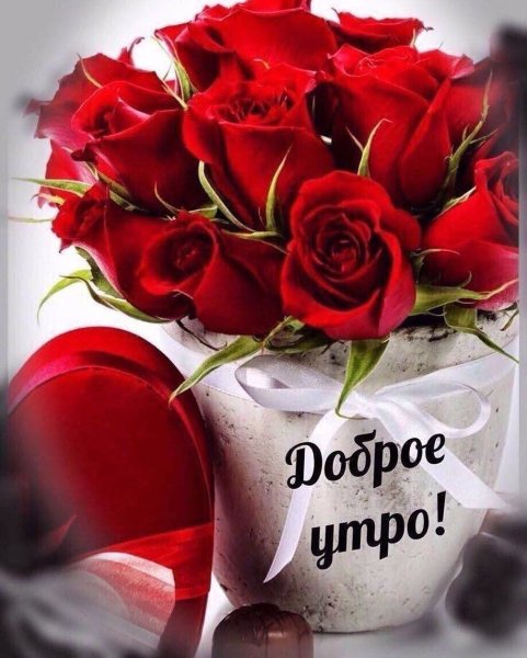 Красивые розы с добрым утром