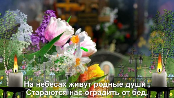 На небесах живут родные