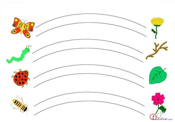 Соединить по точкам английский