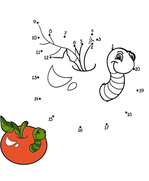 Цвета задания для детей