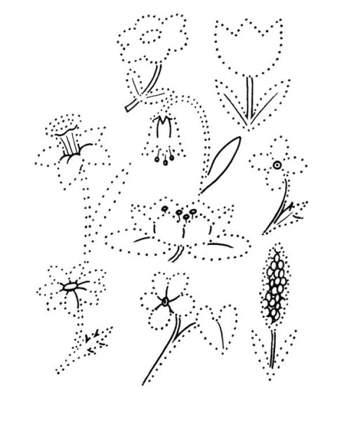 Рисование по точкам для подростков