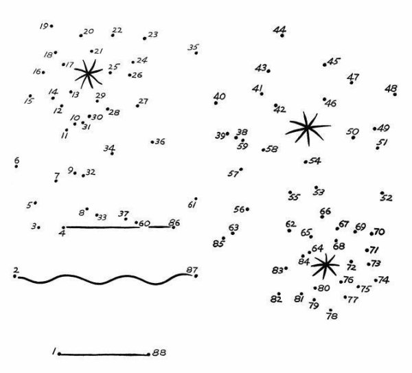 Рисование по цифрам цветы