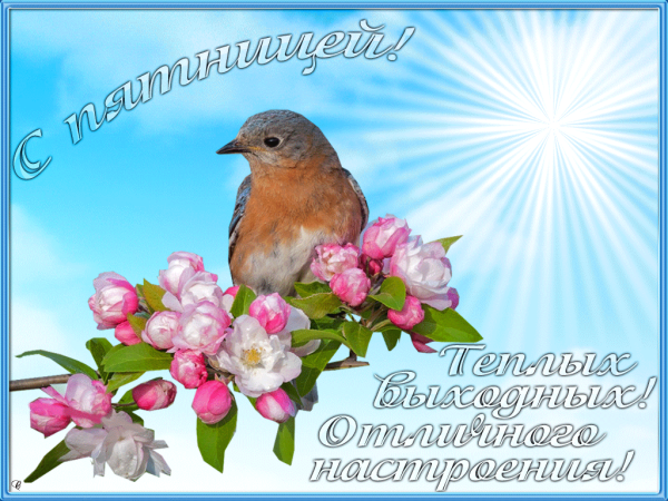 Открытки с весенней пятницей