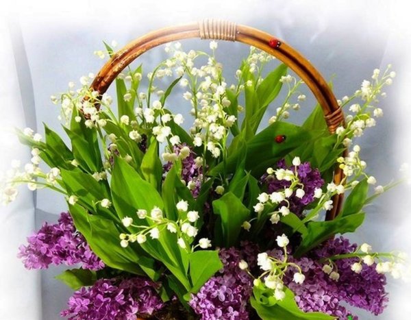 С добрым утром Весна