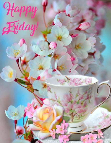 Весеннего настроения тюльпаны