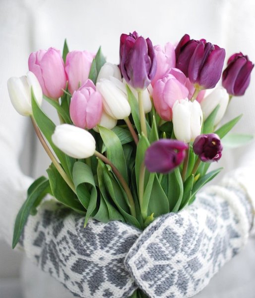 Открытки с добрым утром пятницы