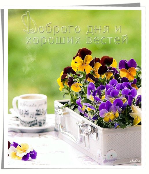 Доброго весеннего понедельника