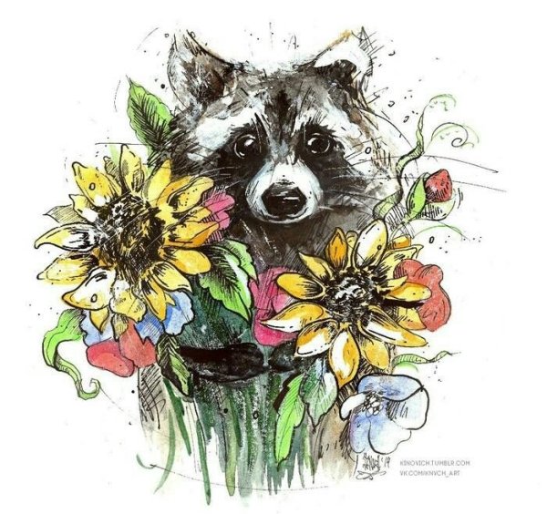 Енот в цветах