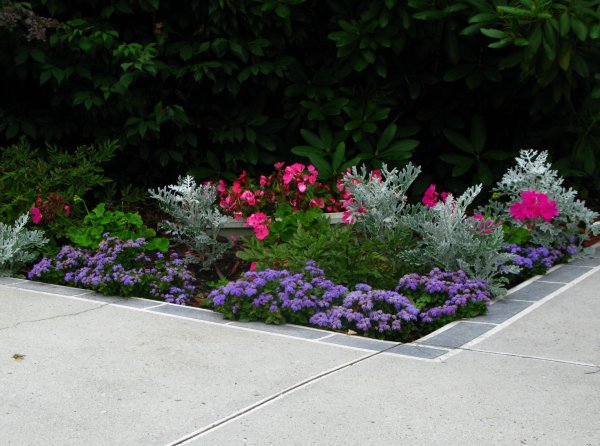 Миксбордеры клумбы рабатки