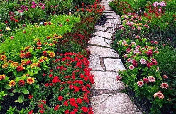 Рабатка Версаль