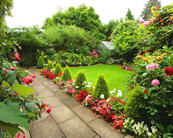 Рабатка с пионами и флоксами