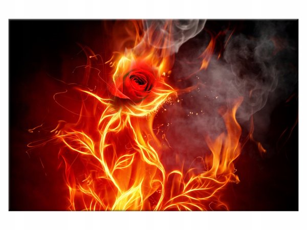 Стефани Блейк Огненные цветы