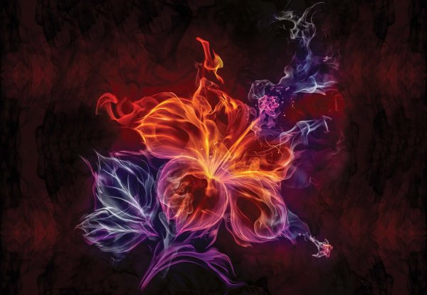 Разноцветные Огненные цветы