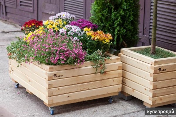 Кадка с цветами