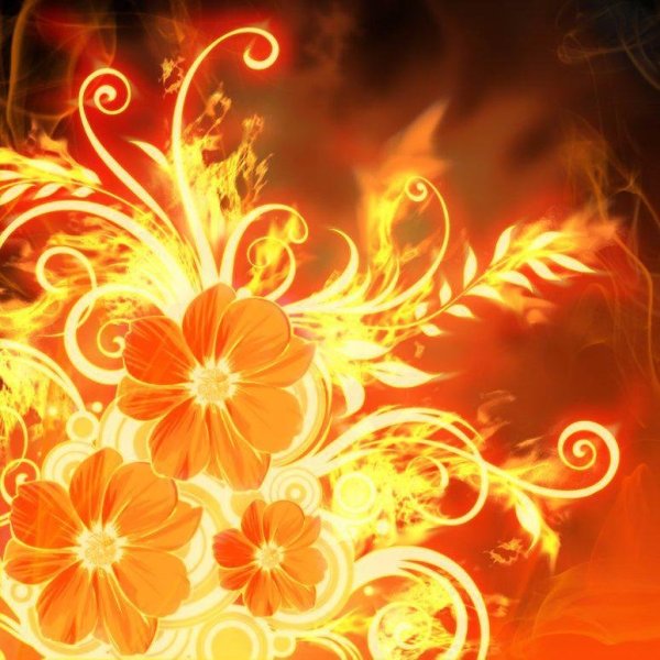 Огненная роза