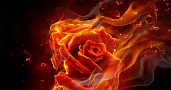 Огненный цветок