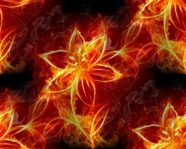 Огненный цветок