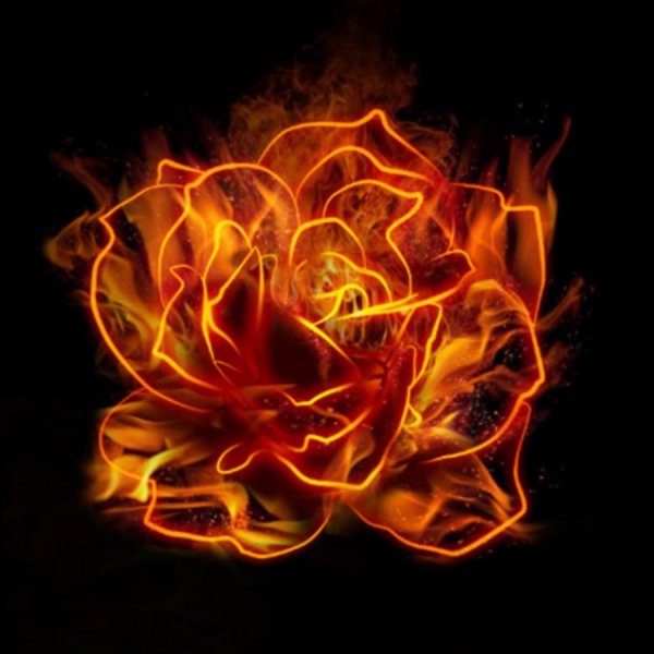 Огненный цветок