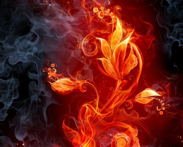 Цветок в огне