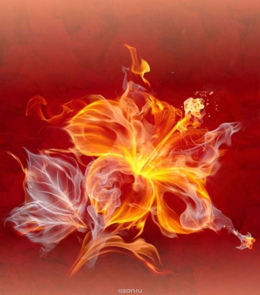 Красивый огонь