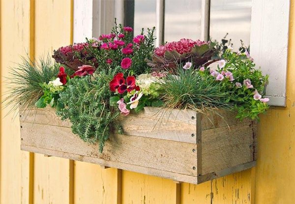 Композиция цветов в ящиках на улице