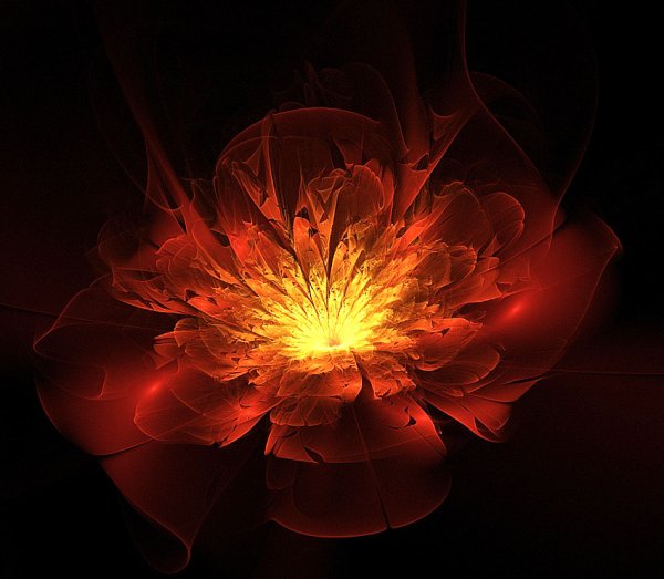 Огненный цветок