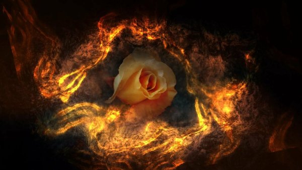 Огненный цветок
