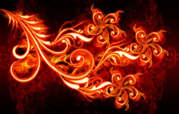 Огненная роза