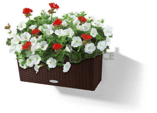 Кашпо Летиция