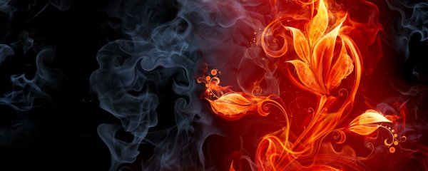 Огненный цветок
