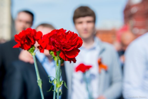 Цветы для молодежи