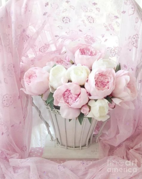 Нежные цветы для девочки