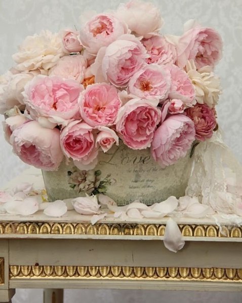 Пионы шебби Шик