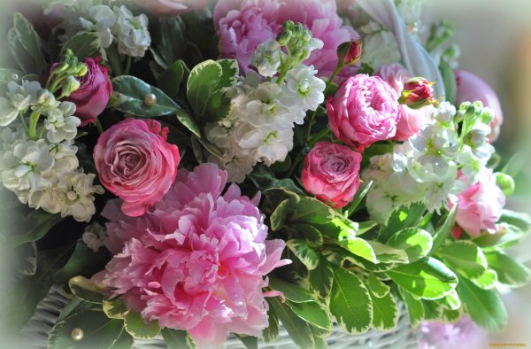 С днём рождения пионы