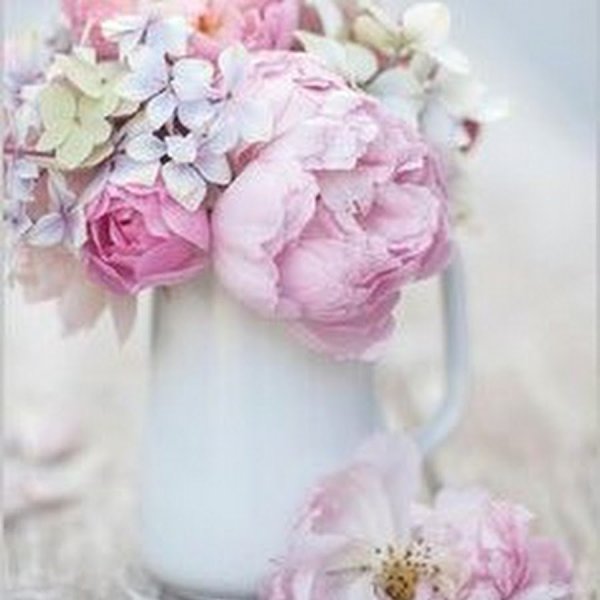 Солнечные пионы