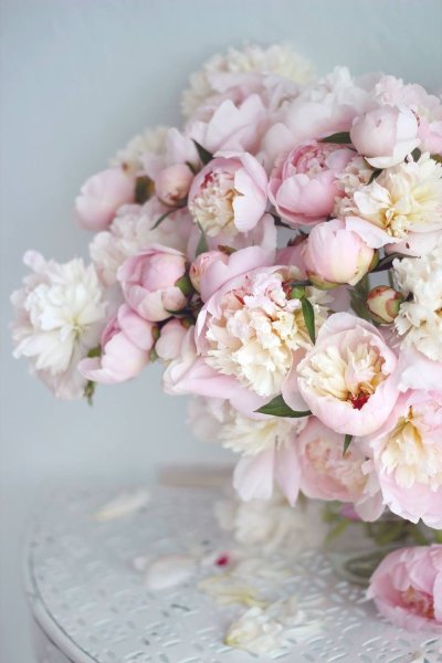 Поздравления с днём рождения пионы