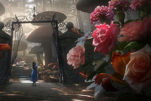 Роза Алисса в стране чудес