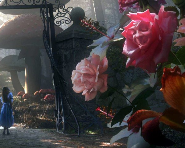 Сад из Алисы в стране чудес