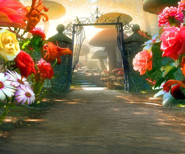 Алиса в Зазеркалье сад