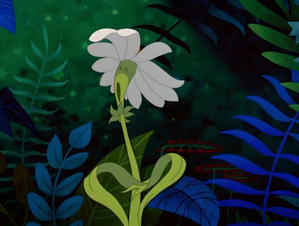 Растения из мультика Алиса в стране чудес